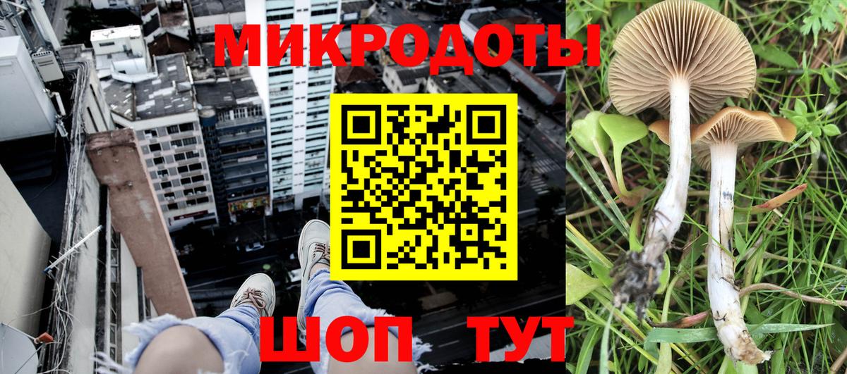 Псилоцибиновые грибы прущие грибы  Псилоцибиновые грибы мицелий  где продают наркотики  Вход с VPN  Усолье-Сибирское 