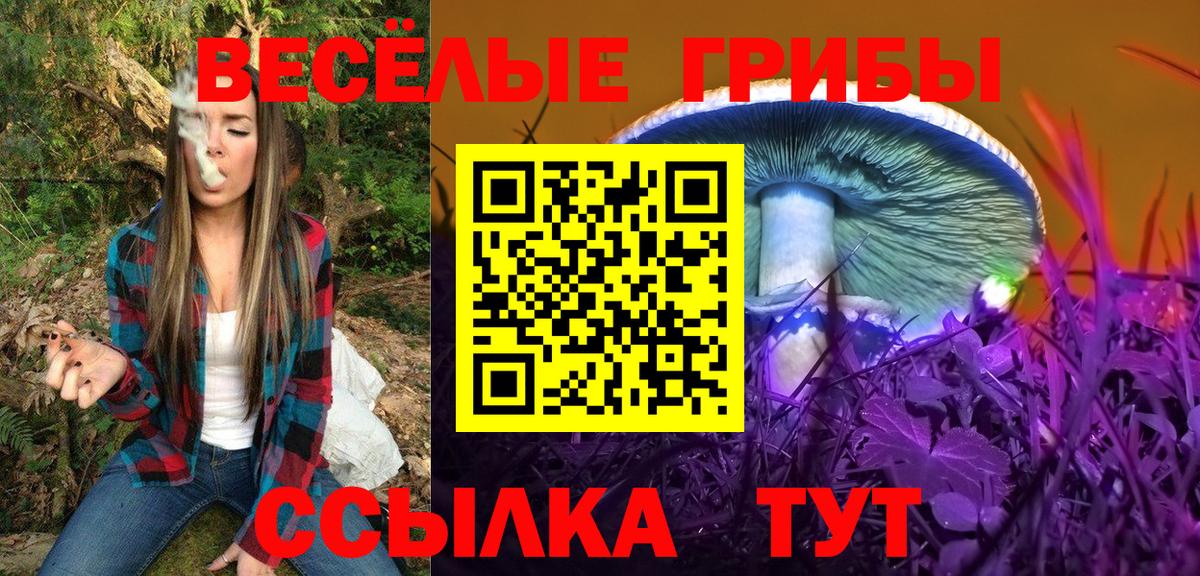 Галлюциногенные грибы GOLDEN TEACHER Усолье-Сибирское